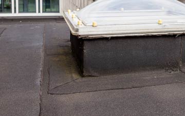 disadvantages of Pelton flat roofs