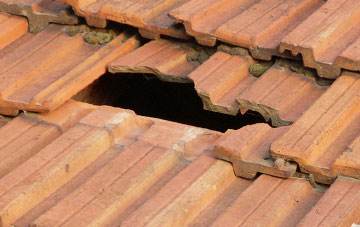 roof repair Pelton, County Durham